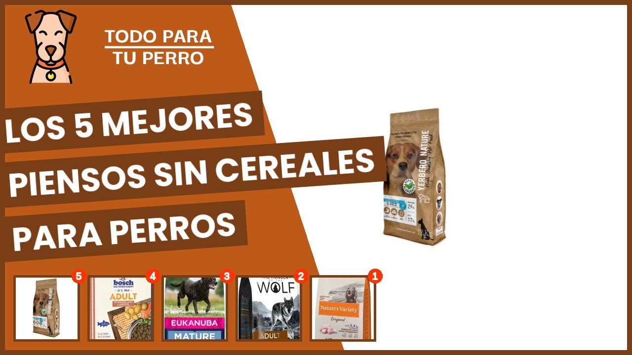 los-10-mejores-piensos-sin-cereales-para-perros-baratos-2026-prueba